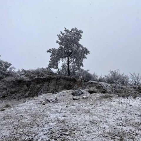 南宁市自驾怎么去大明山