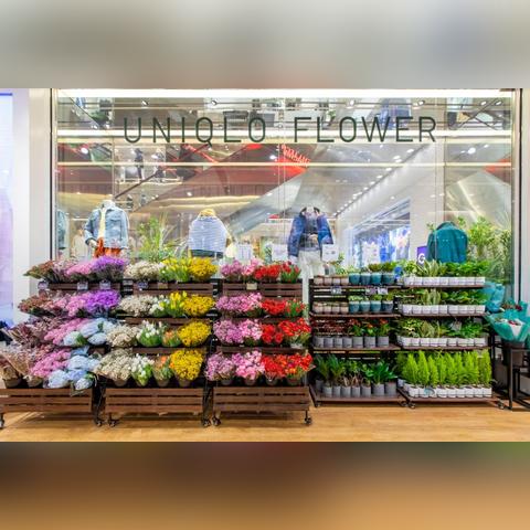 关于在上海工作好难受相关关键词有哪些