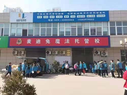 起名兔宝宝姓骆怎么起(动物等级保护5个级别)