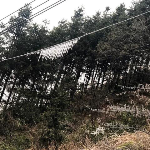 广东省省佛山市天气预报的长尾关键词有哪些