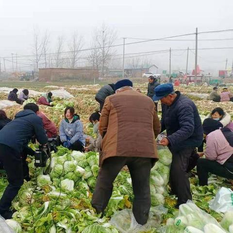 菏泽市疫情封城多少天了