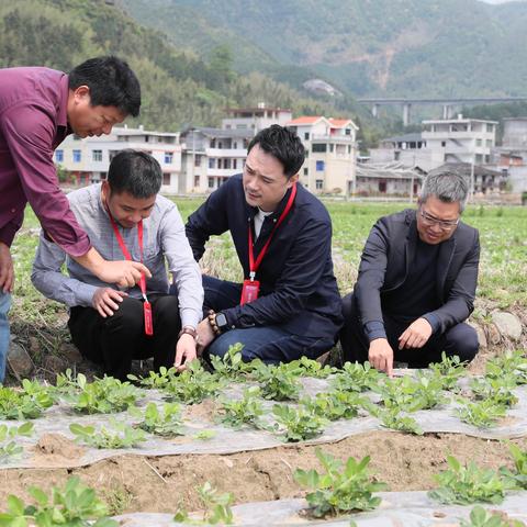 广东省佛山市石龙村疫情的长尾关键词有什么