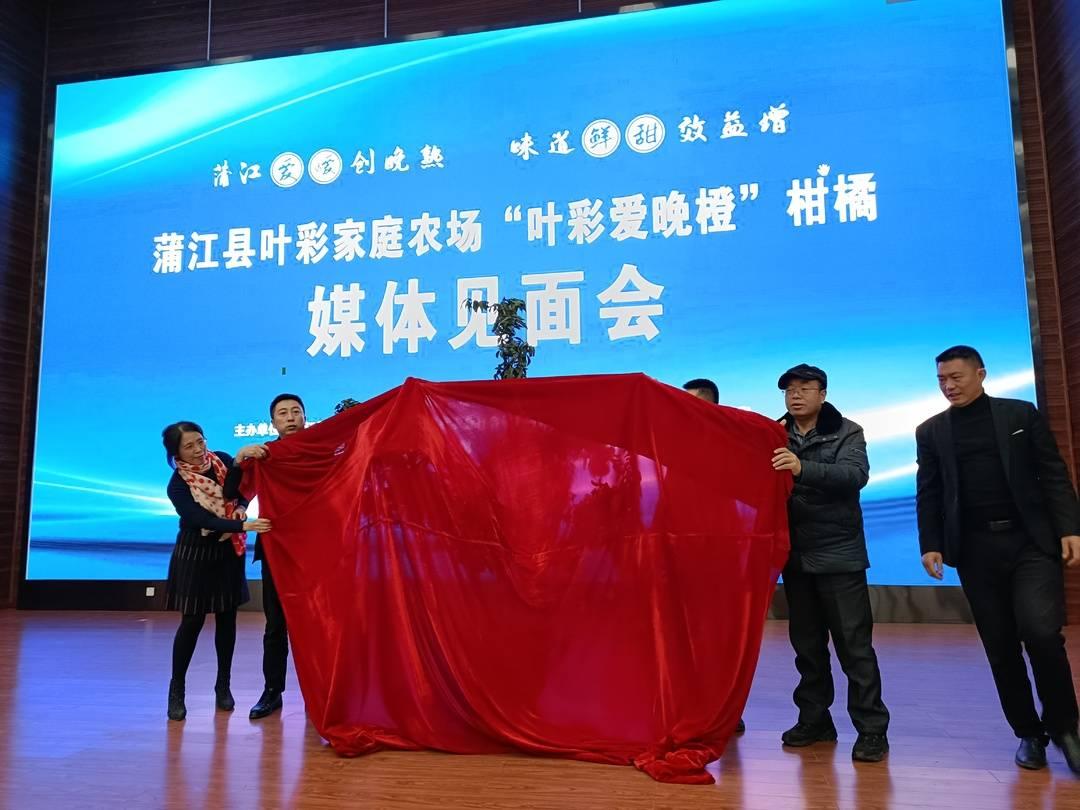 爱媛橙在哪个县（爱媛果冻橙和九月红哪个好吃）