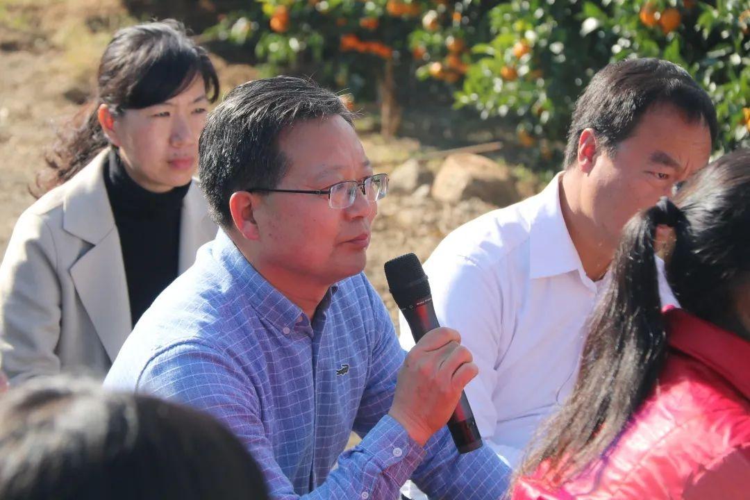 麗江賓川柑橘種植手藝要點_云南荔枝有什么好吃的