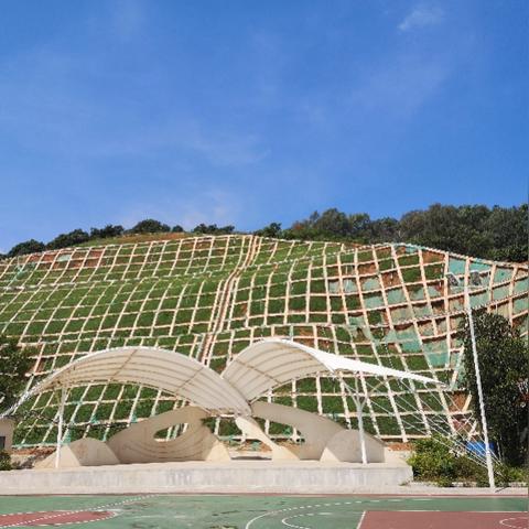 东莞市水库鱼哪里好吃啊