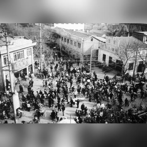 菏泽市附小招生条件的长尾关键词有什么