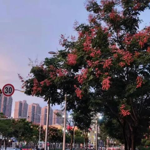 临沂市蒙山北路63号的长尾关键词有什么