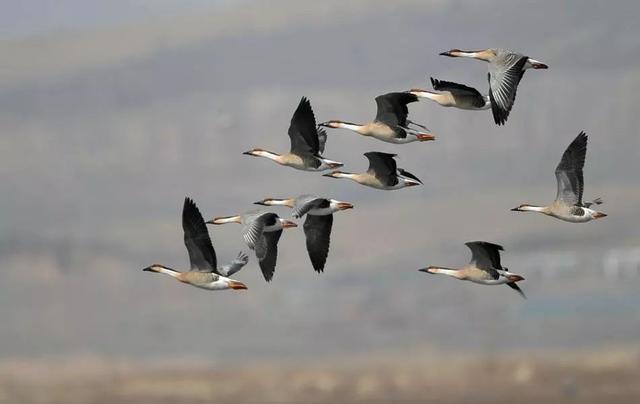 小寒是一年中最冷的时候吗