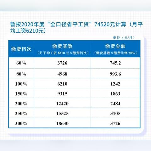 个人社保怎么交成都市的