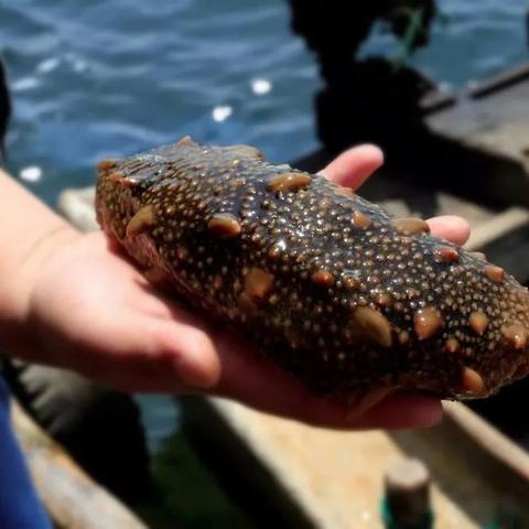 黑龙江省考上岸哈尔滨相关长尾关键词有哪些