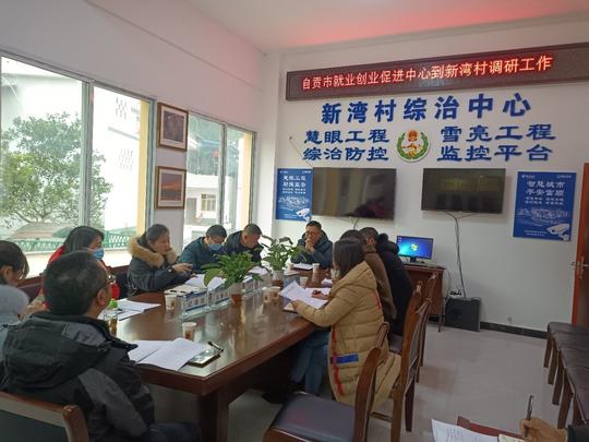 优化就业服务助力乡村振兴——自贡市就业创业促进中心领导调研新湾村公共就业创业村级服务点建设