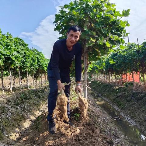 增城天气15天的长尾关键词有哪些