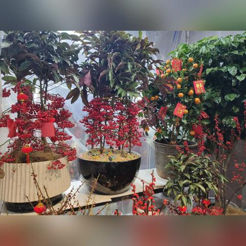 西安市流感情况怎么样