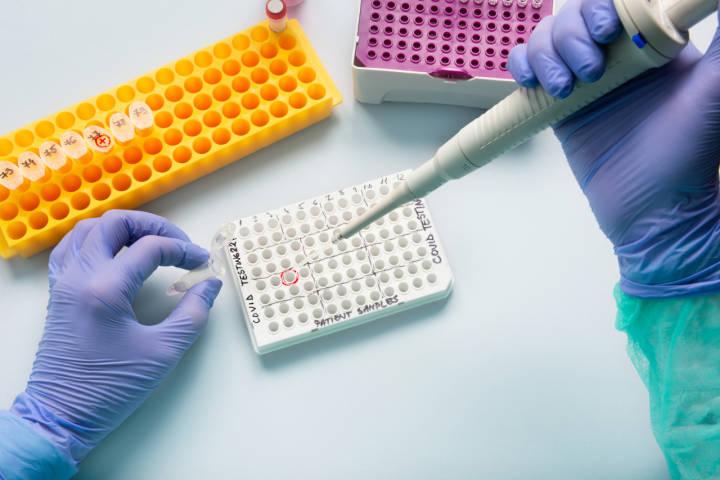 【奥密克戎希腊字母
 /奥密克戎希腊字母写法】