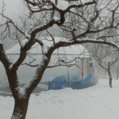 山东济南下雪吗？