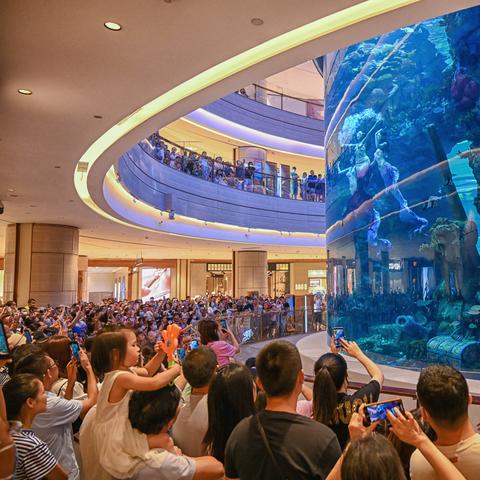 重庆海洋馆哪个最好