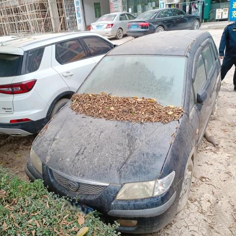 东莞市有僵尸的地方有哪些