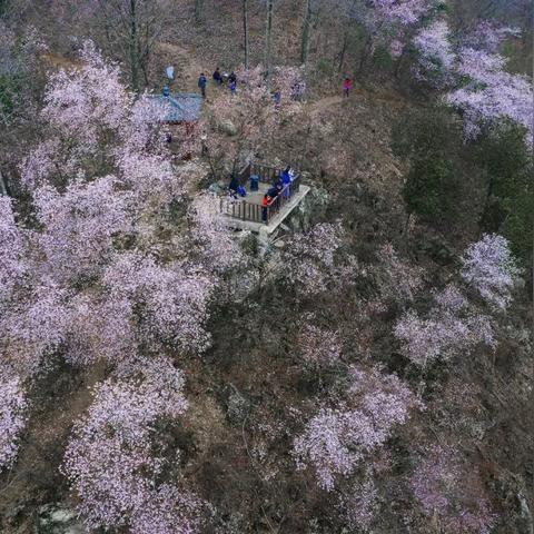 杭州市，各区如何划分东南西北?比如以哪些路为分界线？