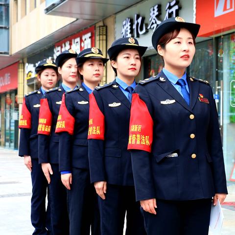 合肥市养大型犬多少钱一只
