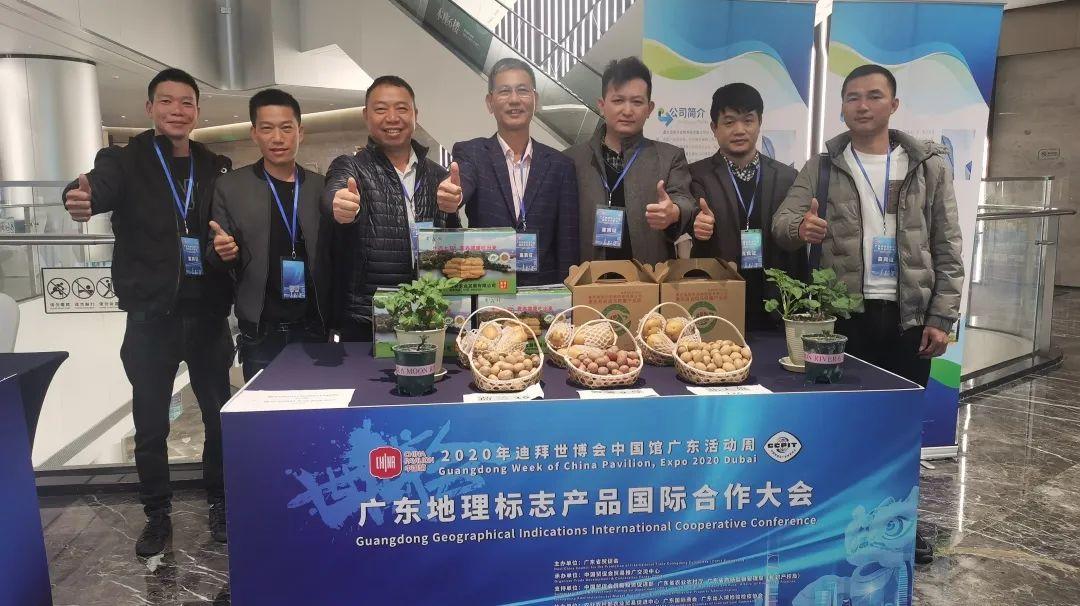世博会护照：穿越时空的奇妙之旅