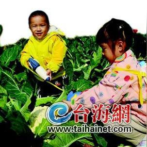 弟弟变帅厦门大学的相关长尾关键词有哪些