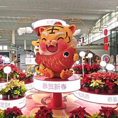广州白云机场行李托运相关长尾关键词有哪些
