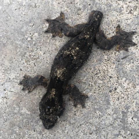 嘎洒周边有什么好玩