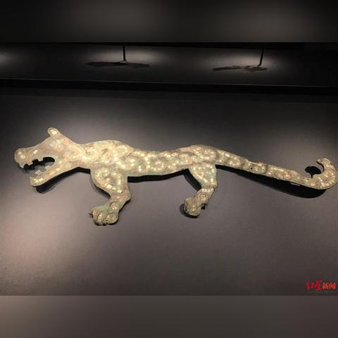 虎网站的长尾关键词有什么