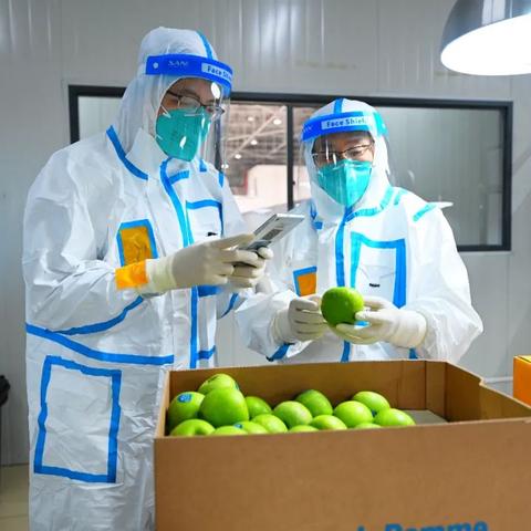 跨境电商多少运费