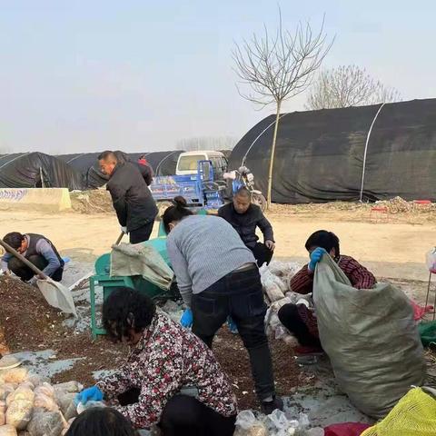 想去河南发展怎么样