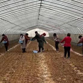 老家在河南的发展怎么样