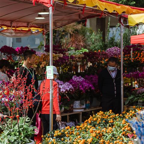 深圳市的花街是哪个区