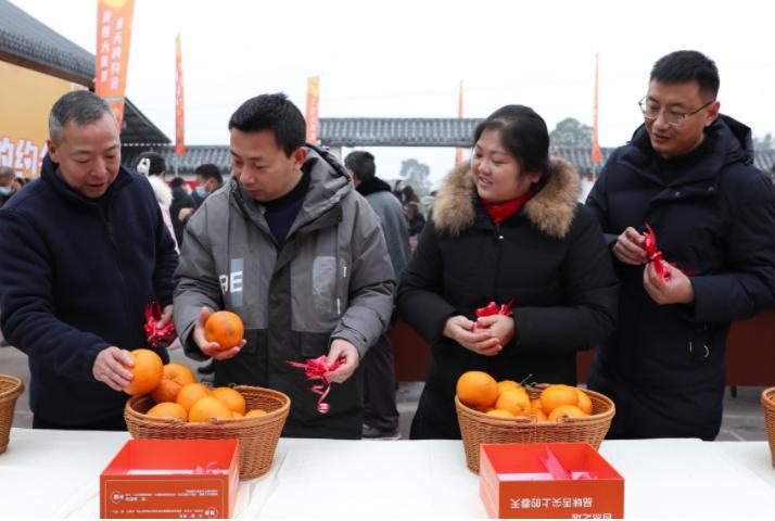 柑橘栽培技术专业视频（农民种地还有发家致富的可能吗）