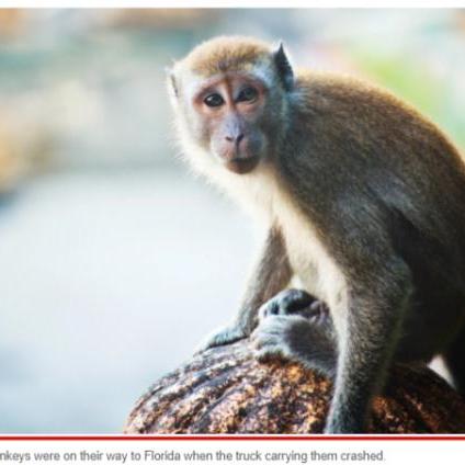 电影经典截图的长尾关键词有哪些