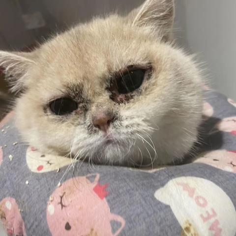 南宁市哪个体检中心好