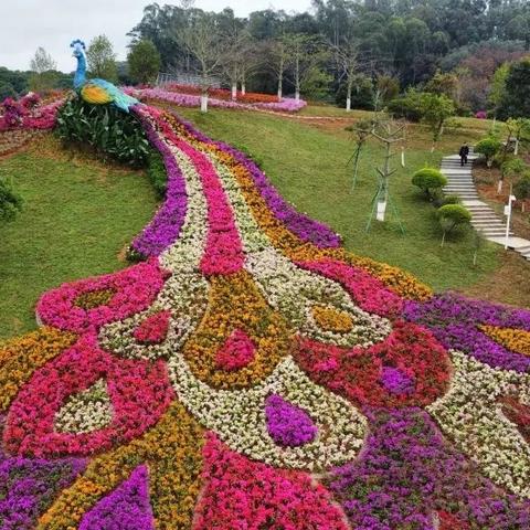 东莞市开放职校有哪些学校