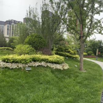 保定市清苑公园面积多少