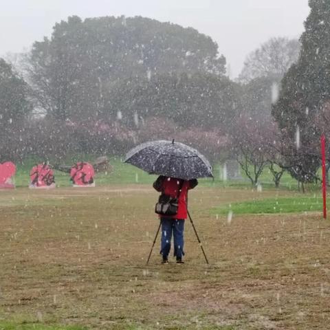 武汉市园林路在建什么
