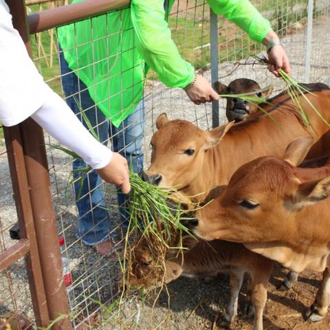 东莞市吃饭和喝茶哪里好