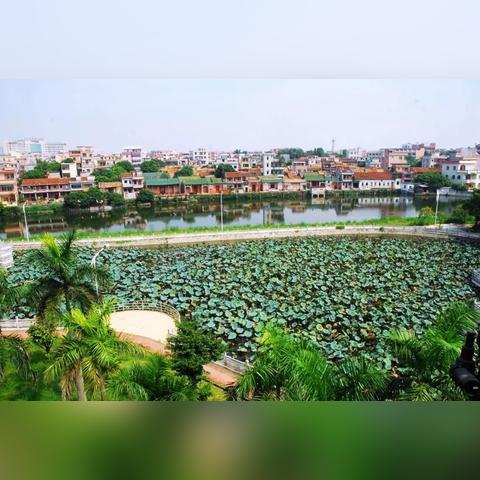 以前东莞市横沥镇怎么叫