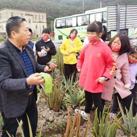 福建幼儿冬令营的相关长尾关键词有哪些