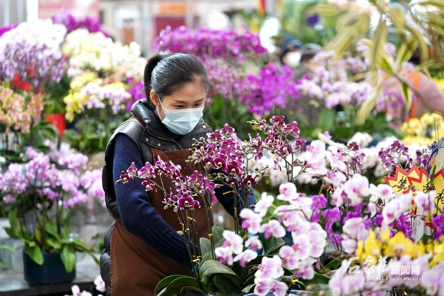 石家庄花卉市场,石家庄如果明天解封?