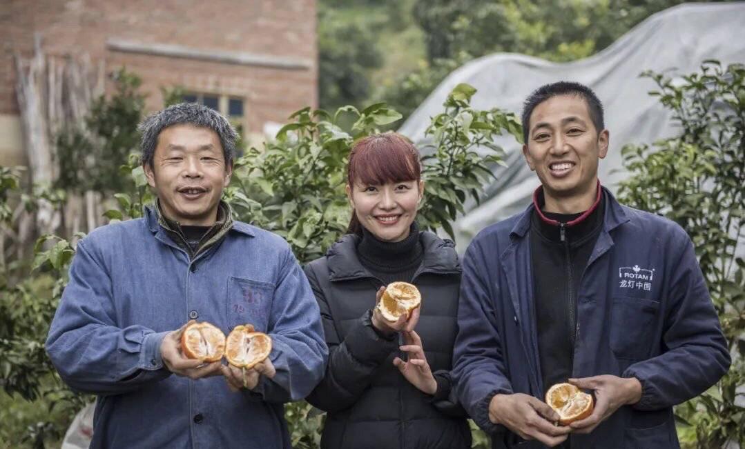 愛媛嫁接在紅橘砧上的表示_農(nóng)村種什么柑橘好