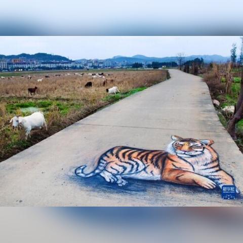 福建和淮南哪个发达