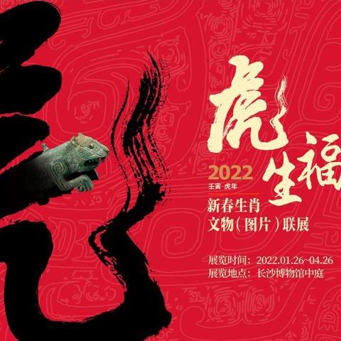 临沂市和长沙市哪个发达