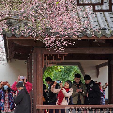 奥林匹克数学竞赛南宁的相关长尾关键词有哪些