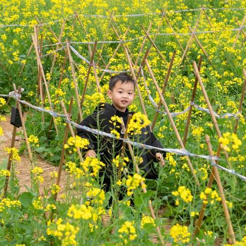 今日广州市气温多少度
