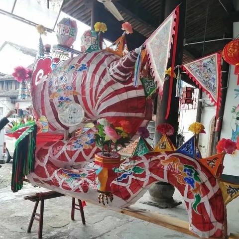 杭州市花市树是什么？