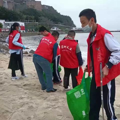 深圳市盐田的初中怎么样