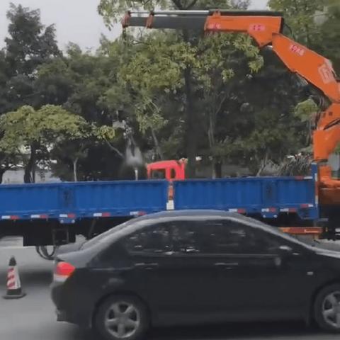 养水牛技术视频大全的长尾关键词有什么
